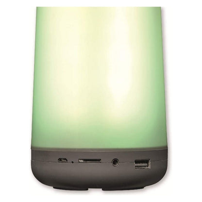 V13H21D9949A0D3A3CB110A2788FA5D1A605R3313118P4