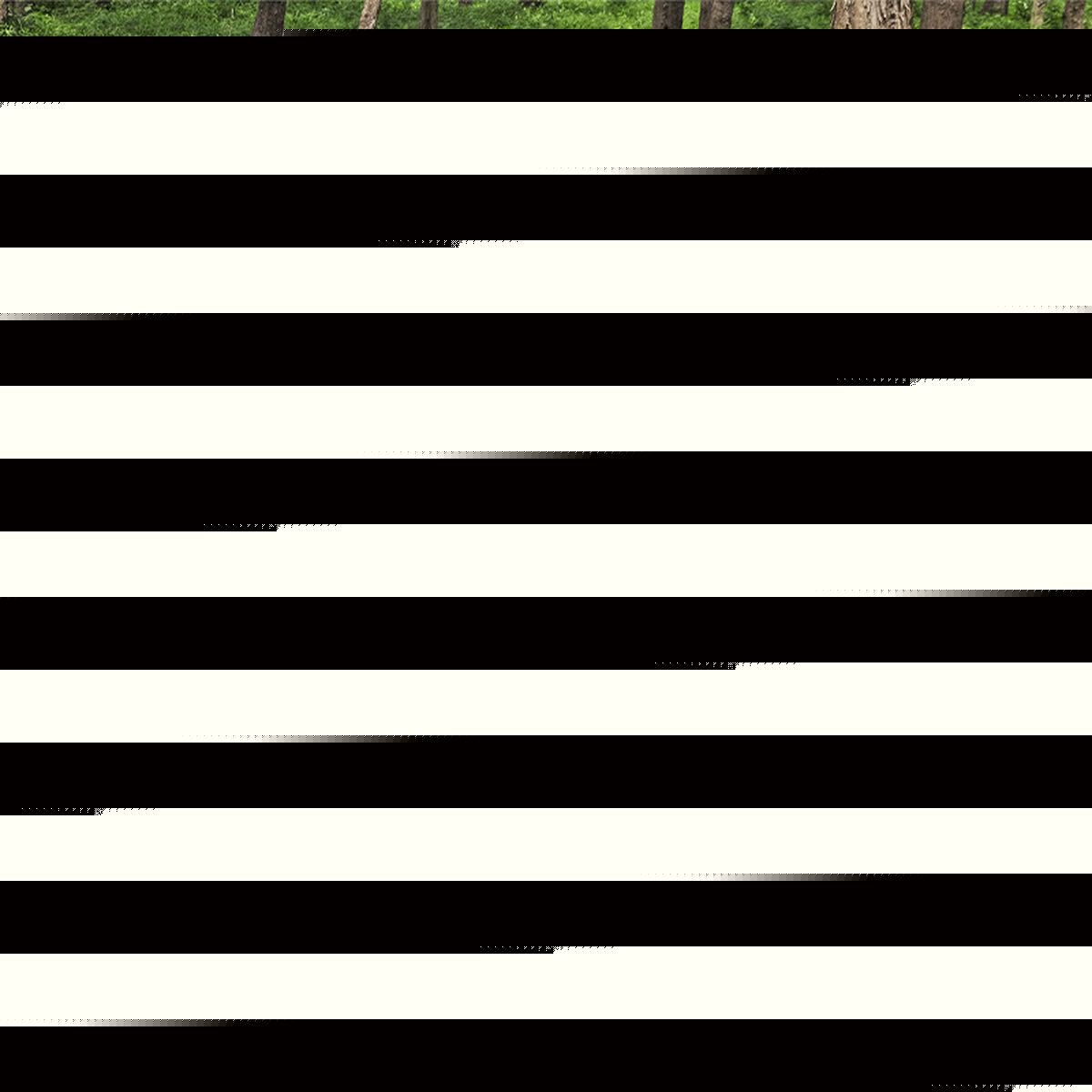 V6H664FCAA03330B76E7741EF6A68F56EB5R4126522P3