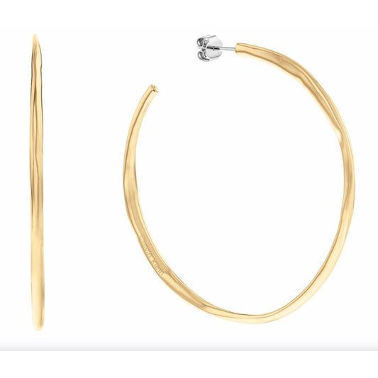 Gouden Calvin Klein oorbellen met een elegant, golvend ontwerp en een soepele afwerking.