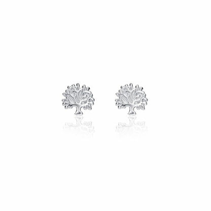Viceroy oorbellen voor dames in sterling zilver met een elegante boomvorm.