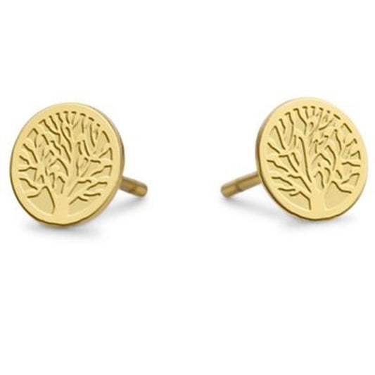 Gouden CO88 Collection oorbellen met tijdloos boomdesign, vooraanzicht.