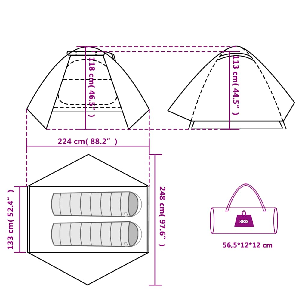 Details van de vidaXL koepeltent met afmetingen en draagtas, blauw ontwerp.