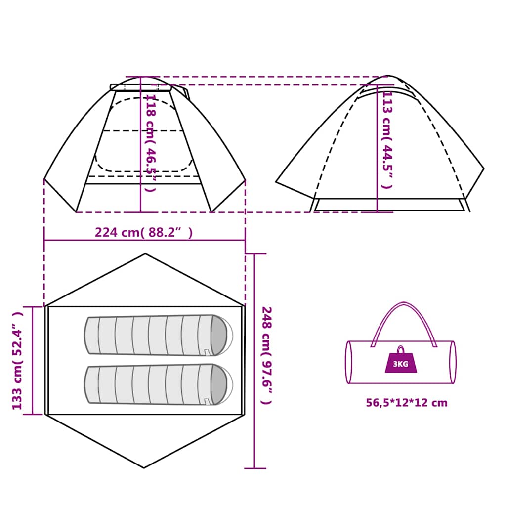 Detailweergave van de vidaXL 2-persoons koepeltent met afmetingen en draagtas.