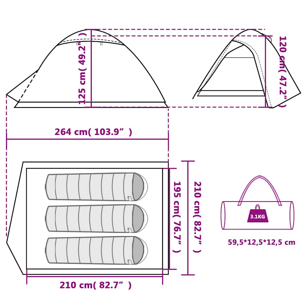 Detailweergave van de vidaXL koepeltent met afmetingen en draagtas.