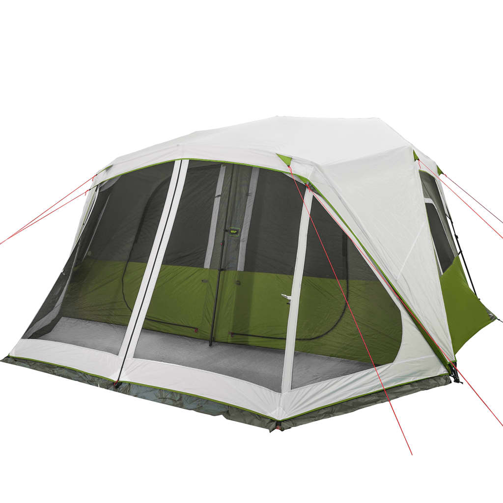 Detail van de vidaXL tent met lichtgroene zijwanden en grote gaasramen.