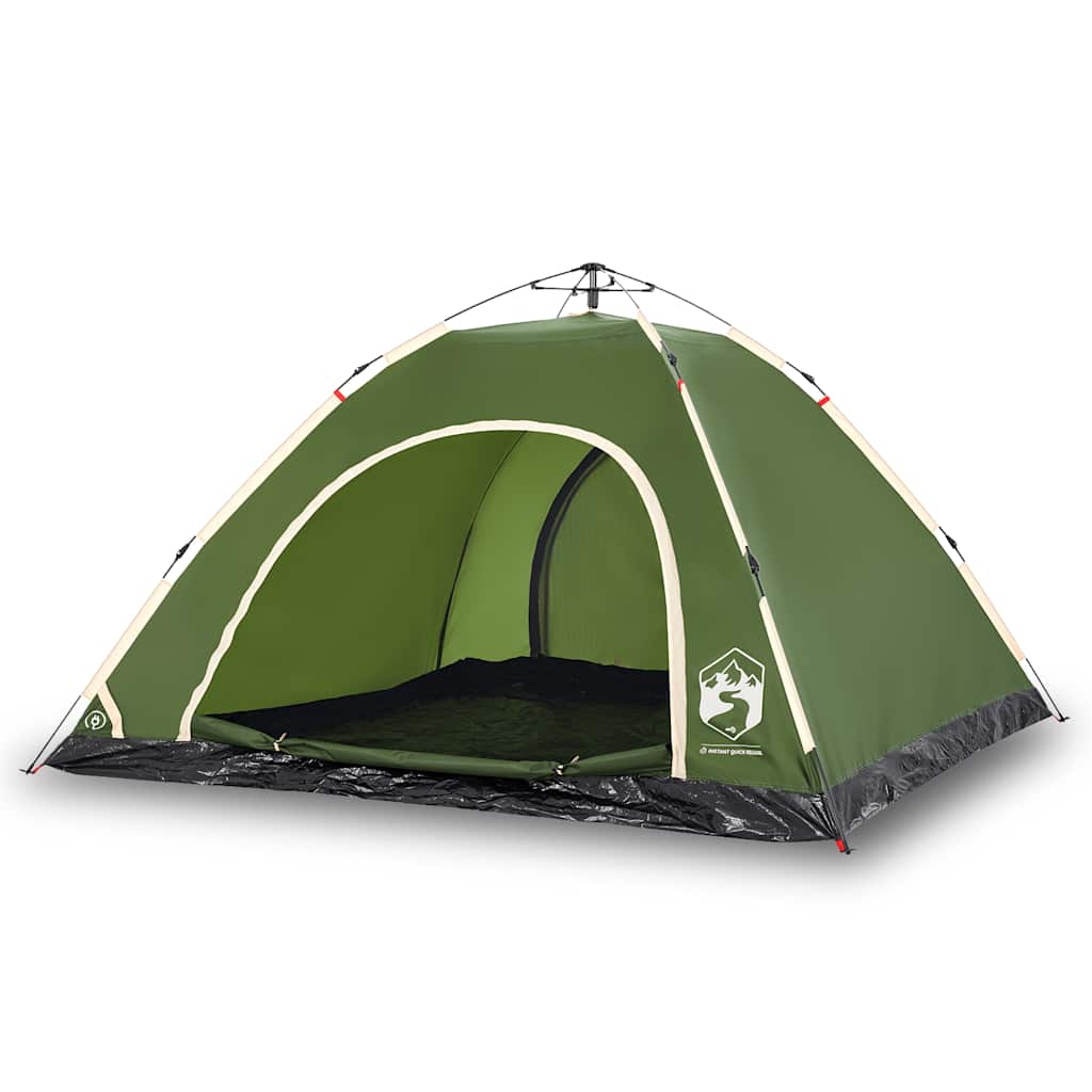 Detail van de vidaXL 5-persoons tent in groen, met open ingang en luchtige binnenruimte.