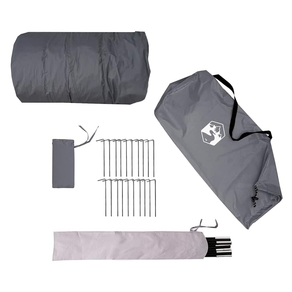 Grijze vidaXL tipitent met stokken, haringen en opbergtas, overzicht van accessoires.