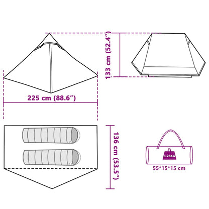 Detailweergave van de vidaXL 2-persoons tent met afmetingen en draagtas.