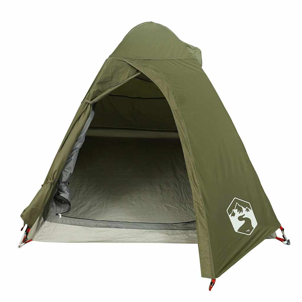 Detail van de olijfgroene vidaXL koepeltent met open ingang en binnenruimte zichtbaar.