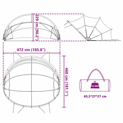 Detail van de vidaXL Pooldome met afmetingen en draagtas voor eenvoudig transport.