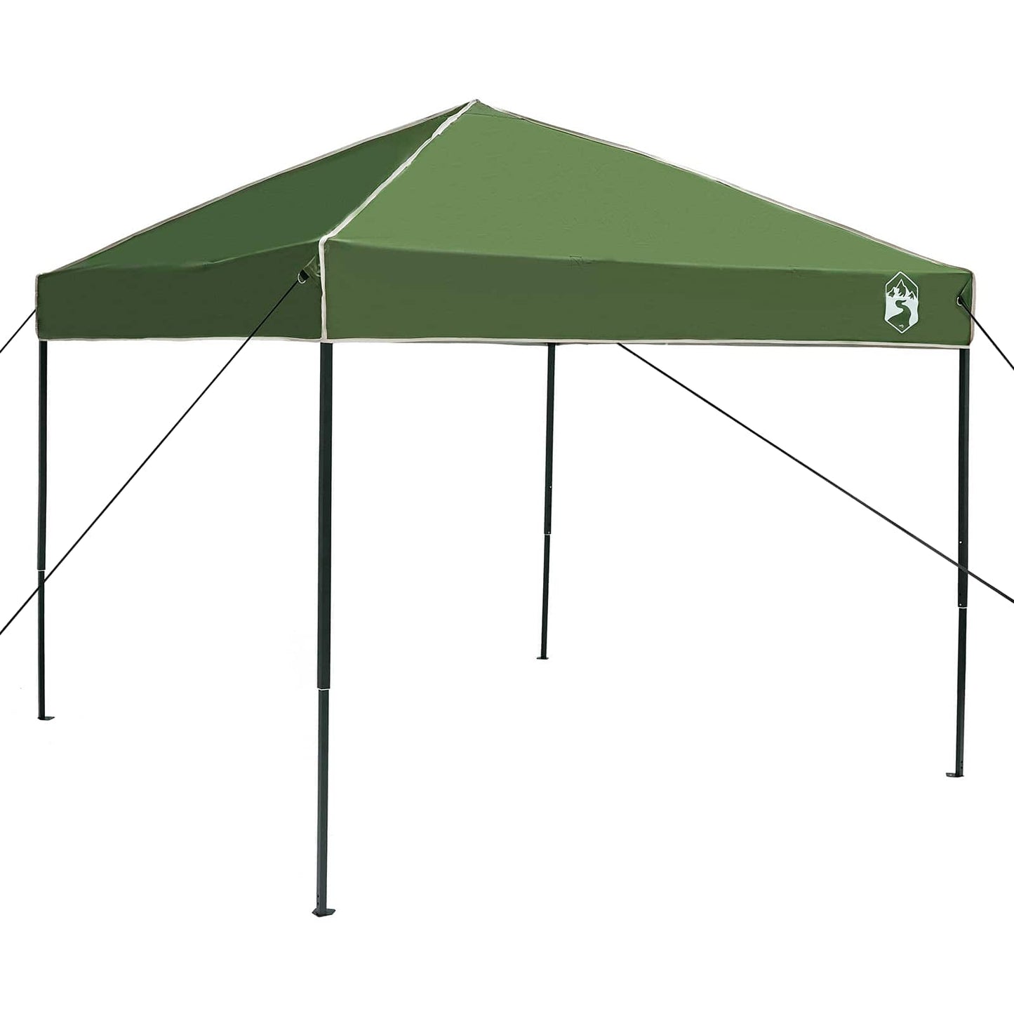Detail van de groene vidaXL campingtent met een stevig frame en een waterdichte bovenkant.