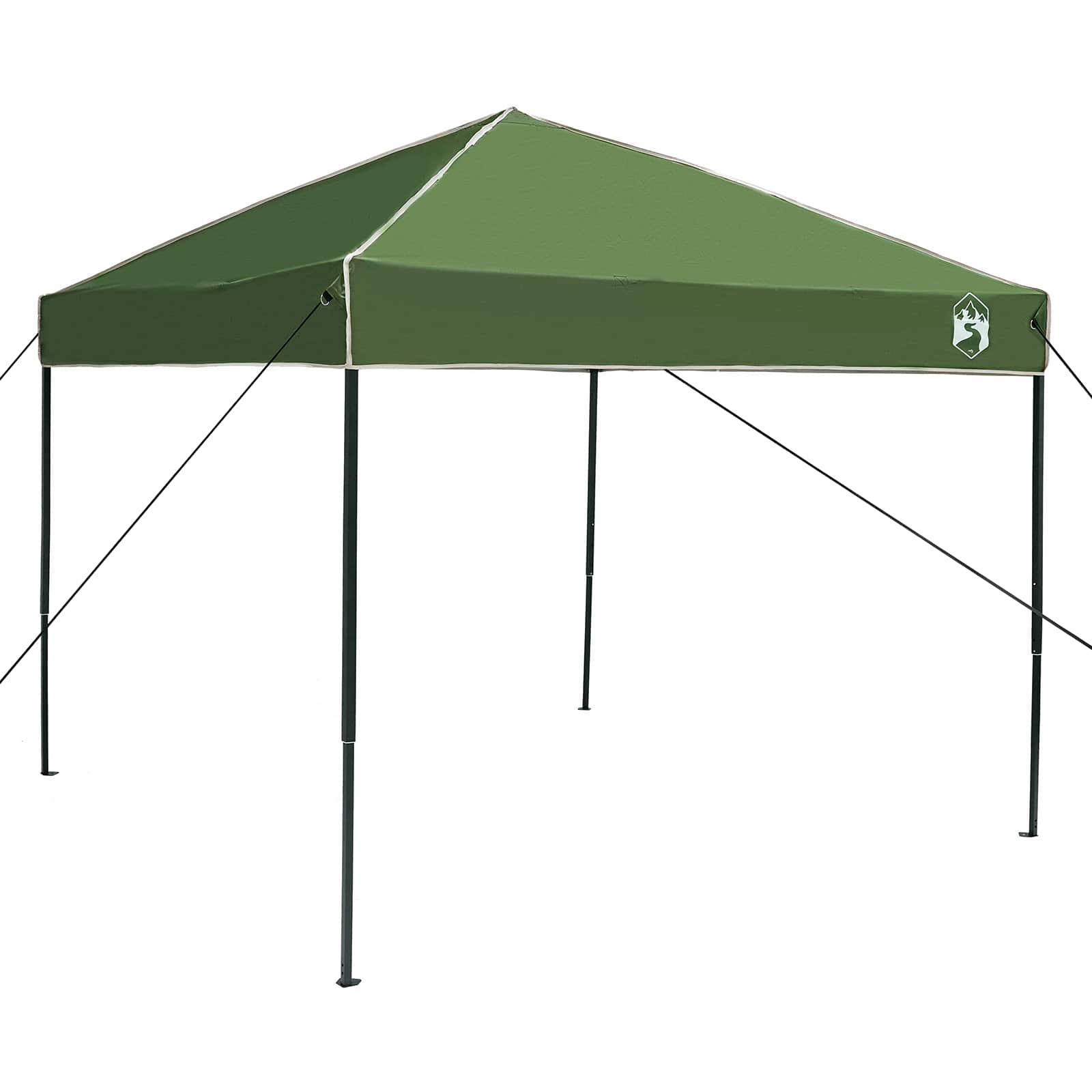 Detail van de groene vidaXL campingtent met een stevig frame en een waterdichte bovenkant.