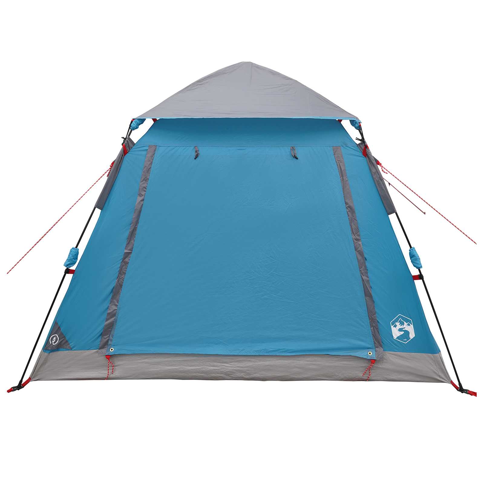 Detail van de blauwe vidaXL Instant Tent met Regenfly, vooraanzicht met stokken en tentlijnen.