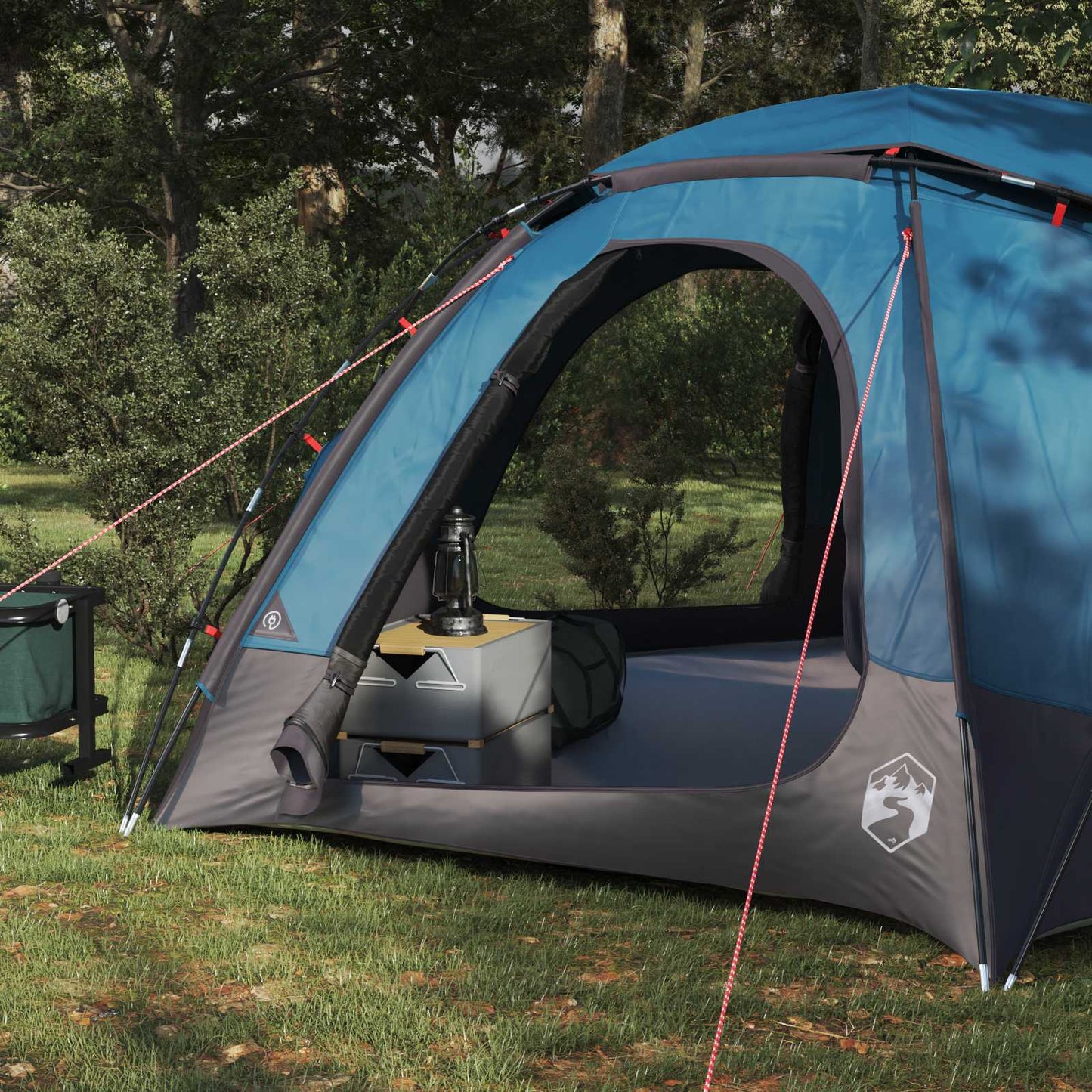 Detail van de vidaXL koepeltent met open ingang en binnenruimte in een groene omgeving.