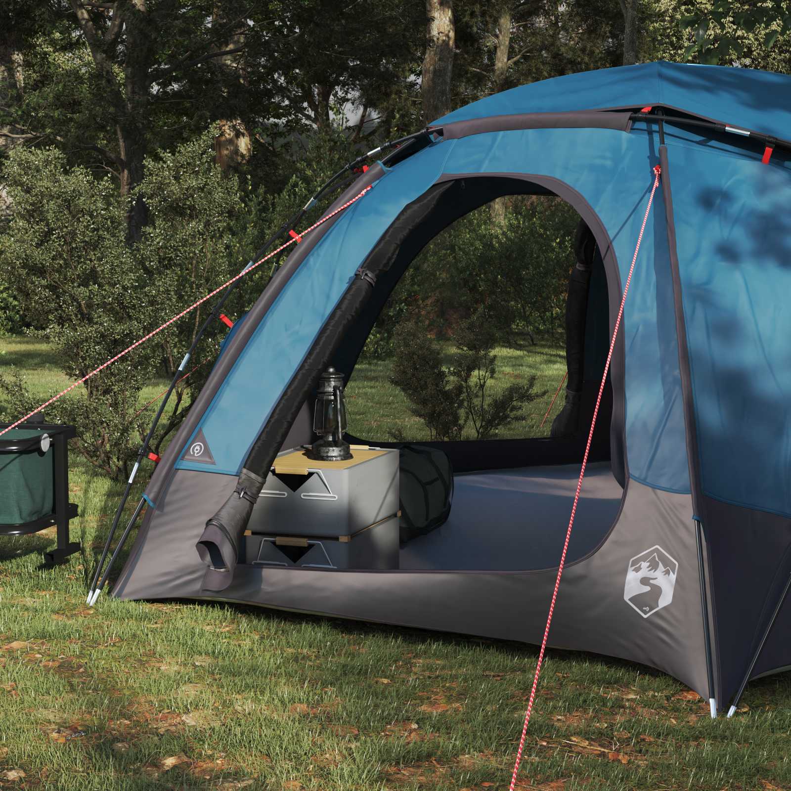 Detail van de vidaXL koepeltent met open ingang en binnenruimte in een groene omgeving.