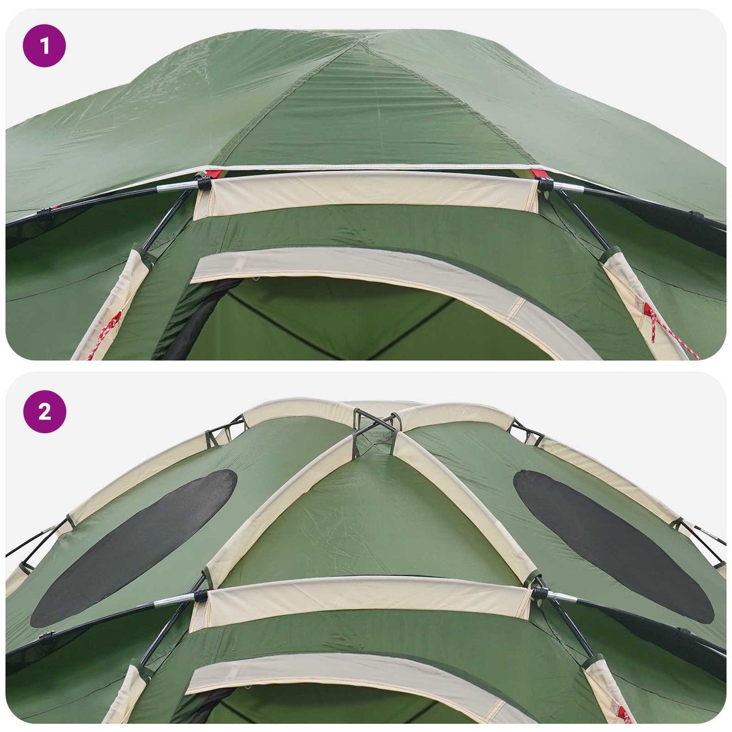 Detail van de groene vidaXL koepeltent met verwijderbare regenkap en ventilatieroosters.