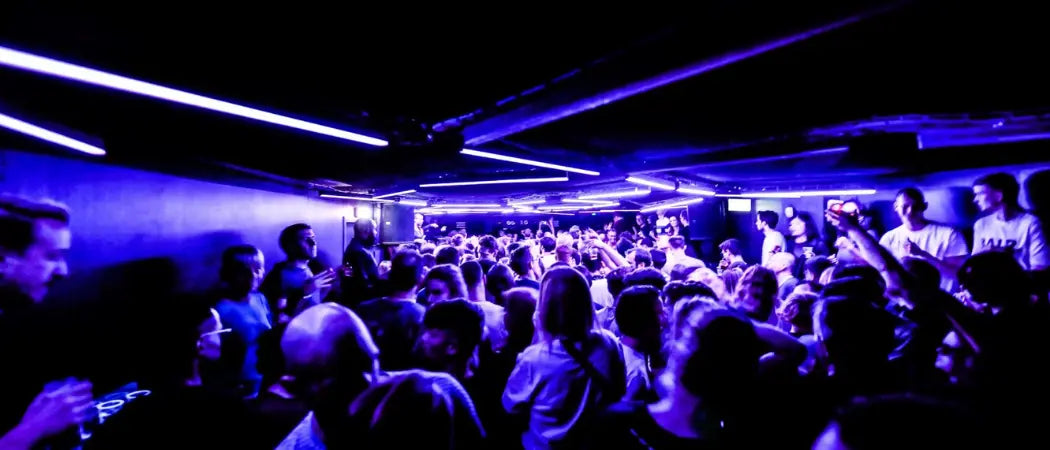 Toffler NYE