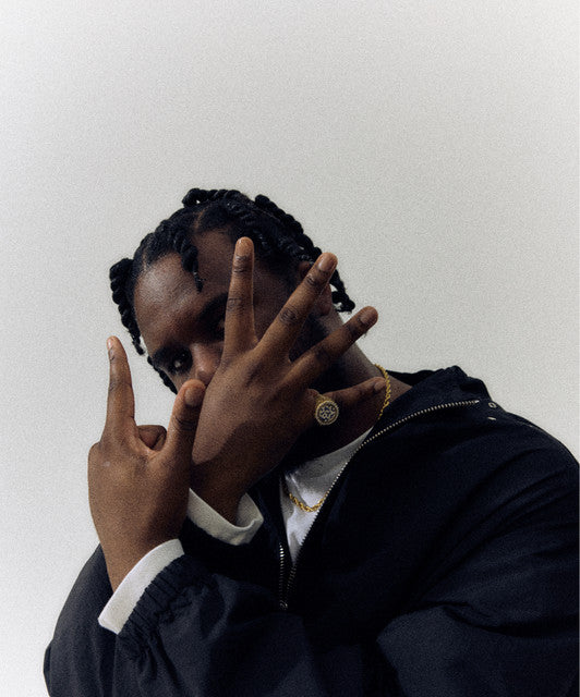 Novelist