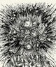 Severe Torture