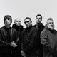 Shed Seven