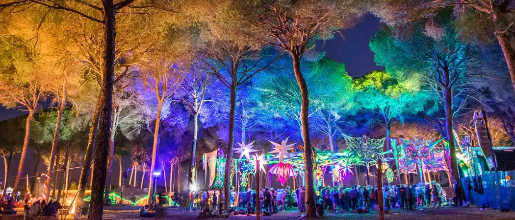 Transition Festival